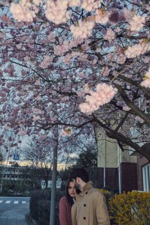 young couple under a cherryblossom tree