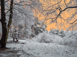 snow landscape with vanilla sky