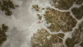 girl laying on the beach, droneshot