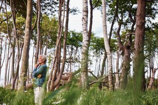 man standing in forrest, looking contemplative into sunset