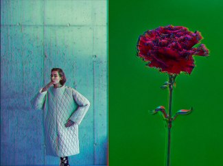 Frau vor Wand und Blume vor grüner Wand
