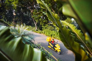 DHL E-Scooter driving through green environment