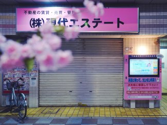 cherryblossom in street of Tokyo