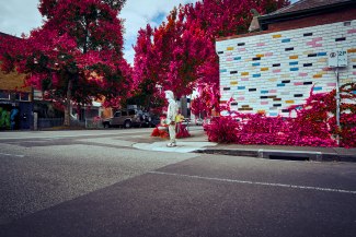 man in shark costume standing on street corner