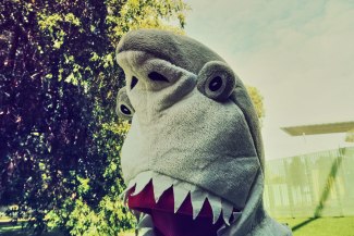 man in a sharkcostume is walking through Melbourne