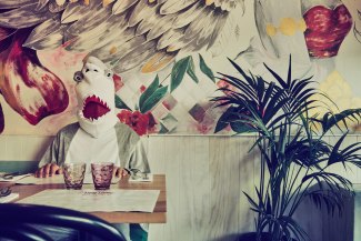 man in a sharkcostume is sitting in a restaurant