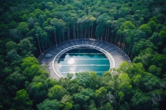 a competition swimmingpool, hidden in brazilian jungle