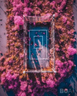 badmintoncourt surrounded by pink flowers